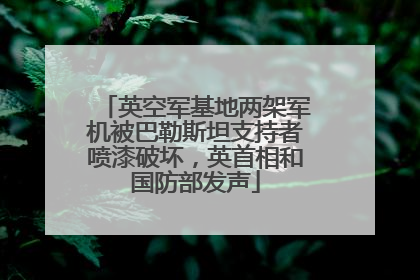 英空军基地两架军机被巴勒斯坦支持者喷漆破坏，英首相和国防部发声