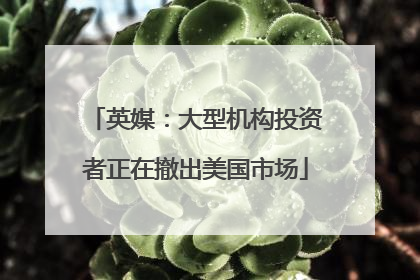 英媒：大型机构投资者正在撤出美国市场
