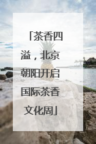 茶香四溢，北京朝阳开启国际茶香文化周