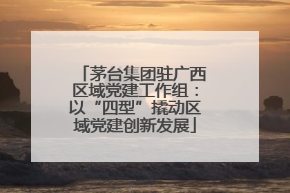 茅台集团驻广西区域党建工作组：以“四型”撬动区域党建创新发展