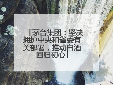 茅台集团：坚决拥护中央和省委有关部署，推动白酒回归初心