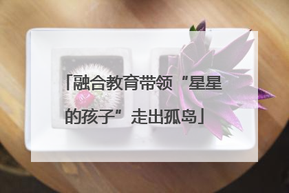融合教育带领“星星的孩子”走出孤岛