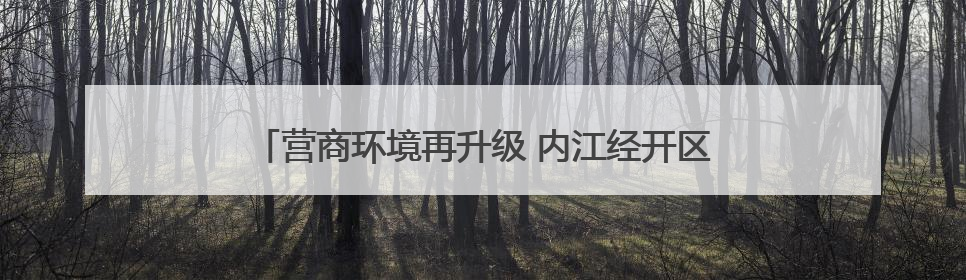 营商环境再升级 内江经开区举办沙龙邀请企业建言献策