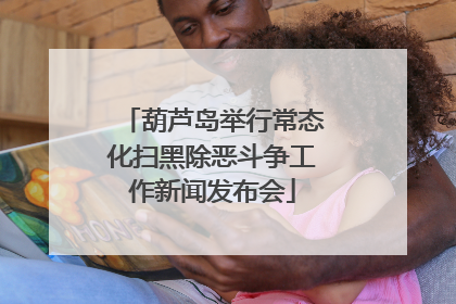 葫芦岛举行常态化扫黑除恶斗争工作新闻发布会