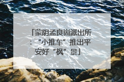 蒙阴孟良崮派出所：“小推车”推出平安好“枫”景