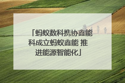 蚂蚁数科携协鑫能科成立蚂蚁鑫能 推进能源智能化
