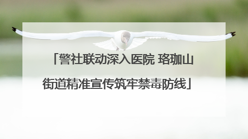 警社联动深入医院 珞珈山街道精准宣传筑牢禁毒防线