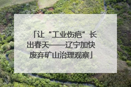 让“工业伤疤”长出春天——辽宁加快废弃矿山治理观察