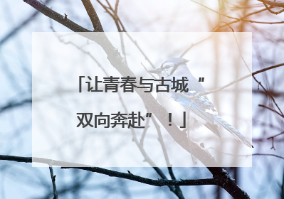 让青春与古城“双向奔赴”！