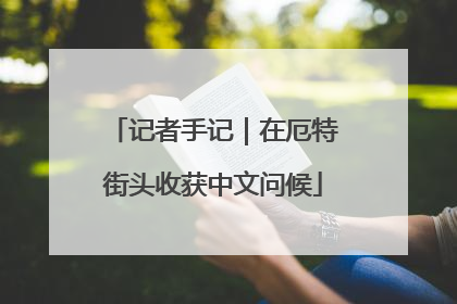 记者手记｜在厄特街头收获中文问候