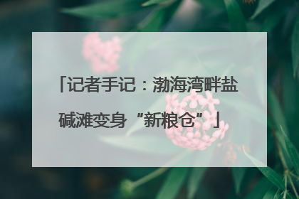 记者手记：渤海湾畔盐碱滩变身“新粮仓”