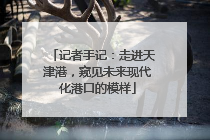 记者手记：走进天津港，窥见未来现代化港口的模样