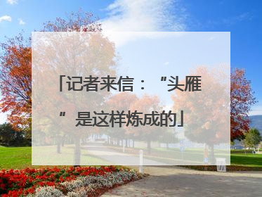 记者来信：“头雁”是这样炼成的