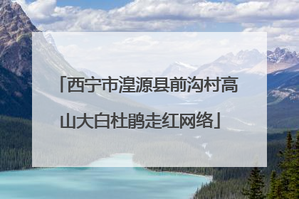 西宁市湟源县前沟村高山大白杜鹃走红网络