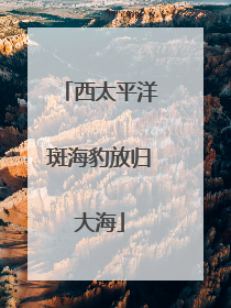 西太平洋斑海豹放归大海
