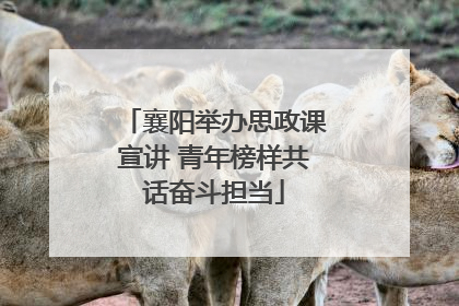 襄阳举办思政课宣讲 青年榜样共话奋斗担当