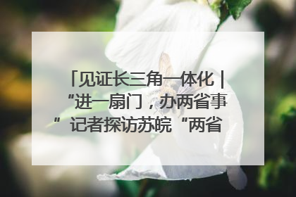 见证长三角一体化｜“进一扇门，办两省事”记者探访苏皖“两省一街”警务室