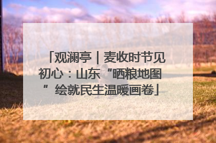 观澜亭｜麦收时节见初心：山东“晒粮地图”绘就民生温暖画卷