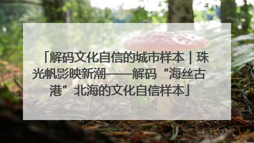 解码文化自信的城市样本｜珠光帆影映新潮——解码“海丝古港”北海的文化自信样本
