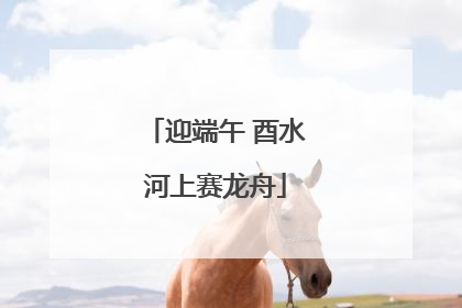 迎端午 酉水河上赛龙舟