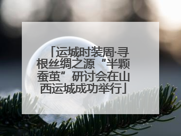 运城时装周·寻根丝绸之源“半颗蚕茧”研讨会在山西运城成功举行