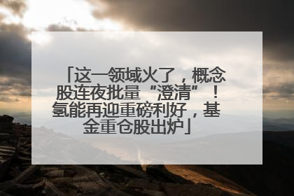 这一领域火了，概念股连夜批量“澄清”！氢能再迎重磅利好，基金重仓股出炉