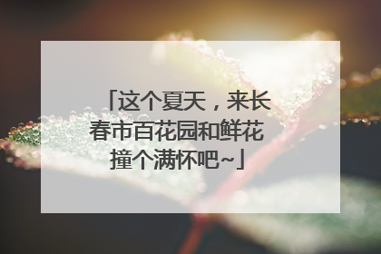 这个夏天，来长春市百花园和鲜花撞个满怀吧~