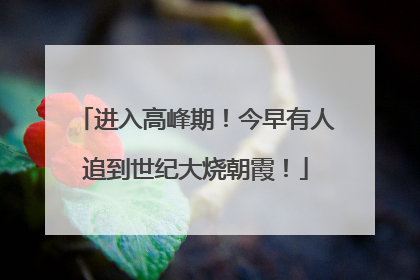 进入高峰期！今早有人追到世纪大烧朝霞！