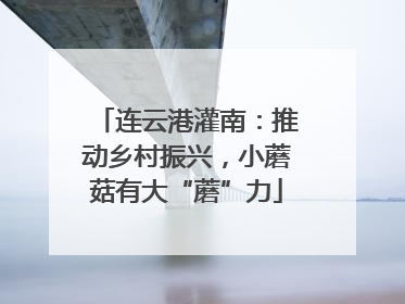 连云港灌南：推动乡村振兴，小蘑菇有大“蘑”力