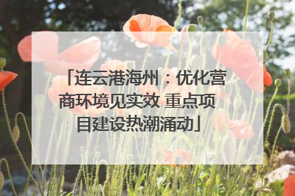 连云港海州：优化营商环境见实效 重点项目建设热潮涌动