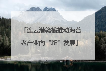 连云港赣榆推动海苔老产业向“新”发展