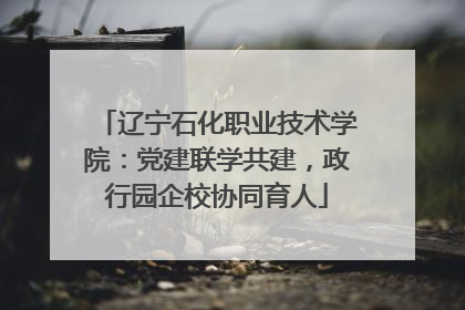 辽宁石化职业技术学院：党建联学共建，政行园企校协同育人