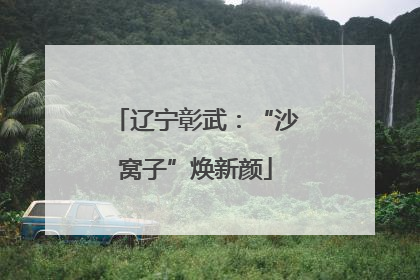 辽宁彰武：“沙窝子”焕新颜