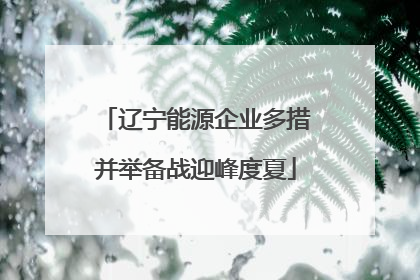 辽宁能源企业多措并举备战迎峰度夏