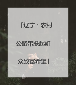 辽宁：农村公路串联起群众致富希望