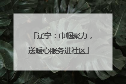 辽宁：巾帼聚力，送暖心服务进社区
