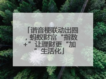 谐音梗联动出圈，蚂蚁财富“指数+”让理财更“加”生活化