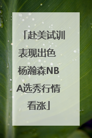 赴美试训表现出色 杨瀚森NBA选秀行情看涨