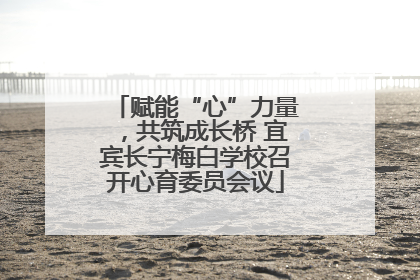赋能“心”力量，共筑成长桥 宜宾长宁梅白学校召开心育委员会议
