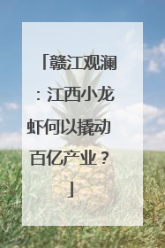 赣江观澜：江西小龙虾何以撬动百亿产业？