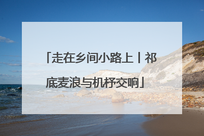 走在乡间小路上丨祁底麦浪与机杼交响