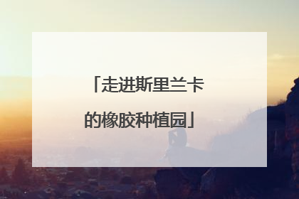 走进斯里兰卡的橡胶种植园