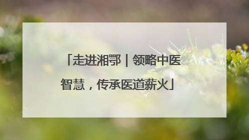 走进湘鄂｜领略中医智慧，传承医道薪火
