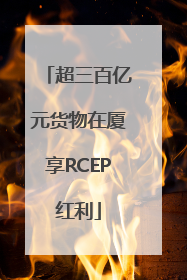 超三百亿元货物在厦享RCEP红利
