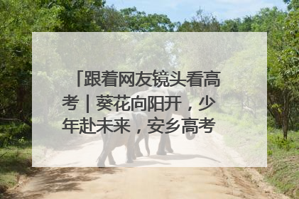 跟着网友镜头看高考｜葵花向阳开，少年赴未来，安乡高考首日的希望图景
