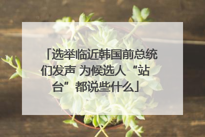 选举临近韩国前总统们发声 为候选人“站台”都说些什么