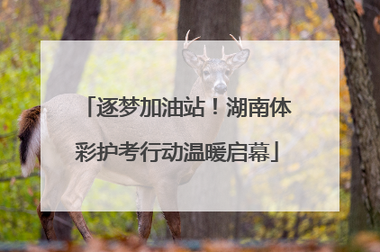 逐梦加油站！湖南体彩护考行动温暖启幕