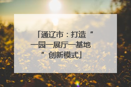 通辽市：打造“一园一展厅一基地”创新模式