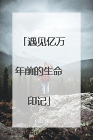 遇见亿万年前的生命印记