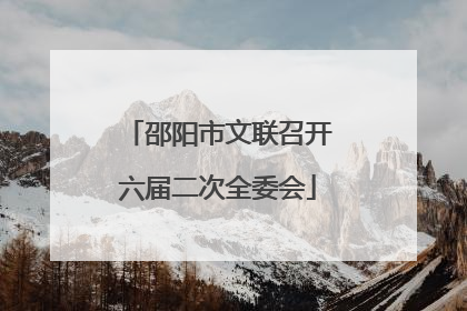 邵阳市文联召开六届二次全委会